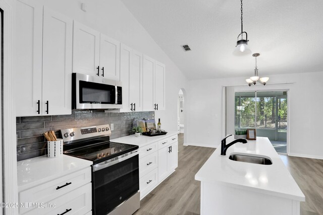 3409 Steelgate Ct, Middleburg, FL 32068 - kitchen with appliances with stainless steel finishes, a sink, arched walkways, vaulted ceiling, and light wood-type flooring