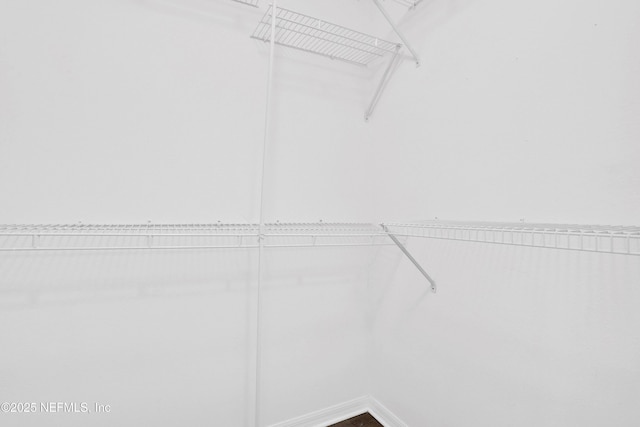 3409 Steelgate Ct, Middleburg, FL 32068 - view of spacious closet