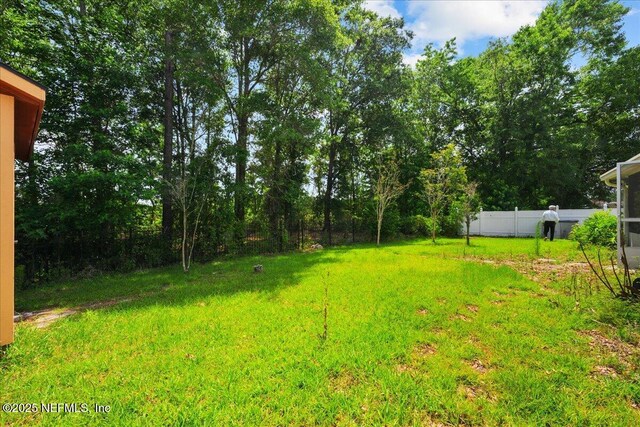 3409 Steelgate Ct, Middleburg, FL 32068 - view of yard