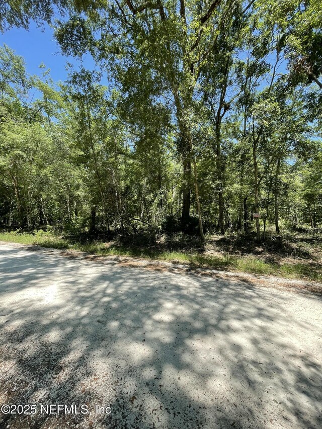 LOT16/17 292nd St, Branford, FL 32008 - photo 3