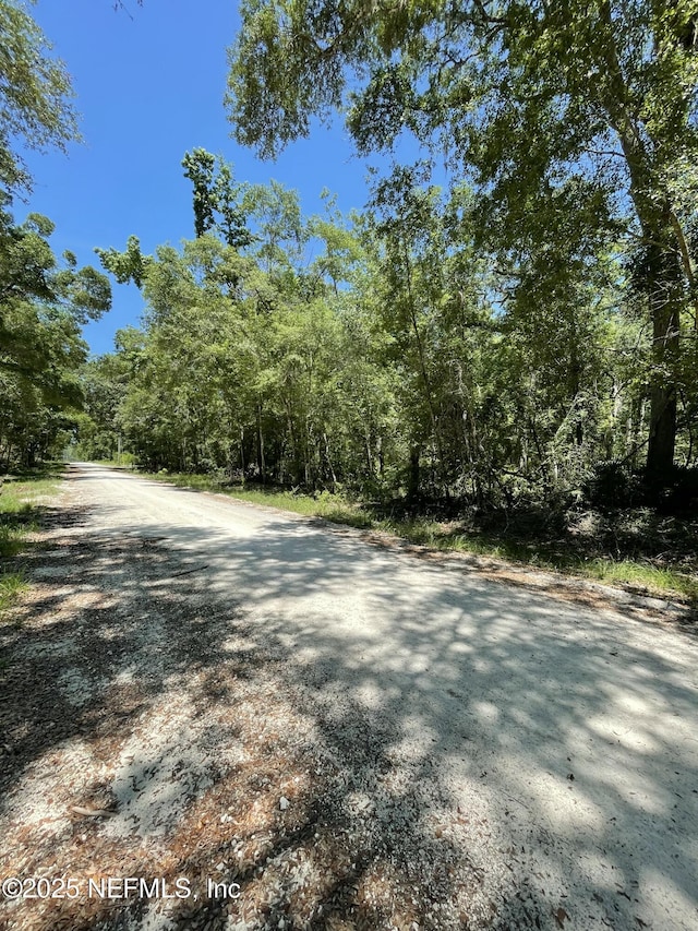 LOT16/17 292nd St, Branford, FL 32008 - photo 4