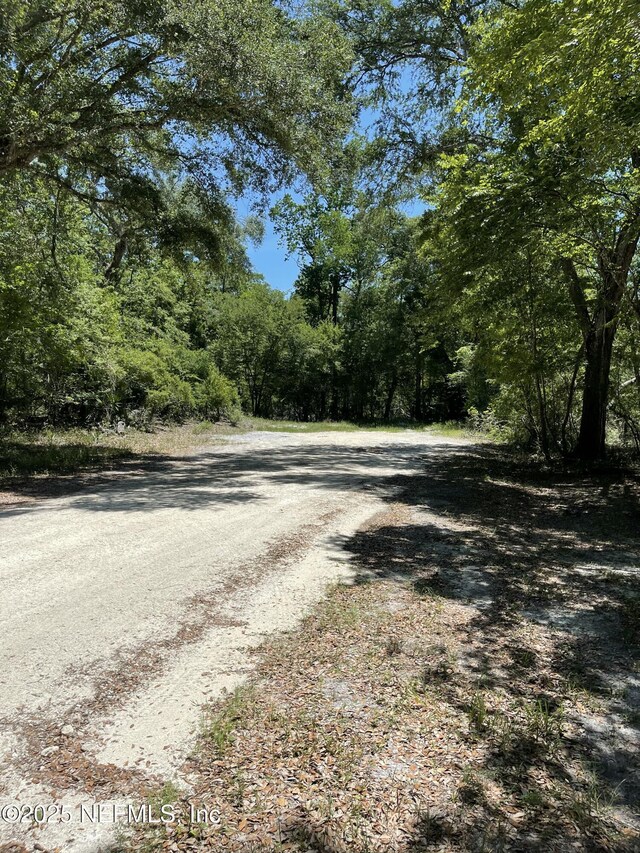 LOT16/17 292nd St, Branford, FL 32008 - photo 5