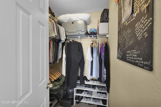 430 Timberwalk Ct Unit 1023, Ponte Vedra Beach, FL 32082 - view of spacious closet