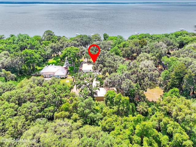 13900 County Road 13 N, Saint Augustine, FL 32092 - aerial view of a nearby body of water and a forest