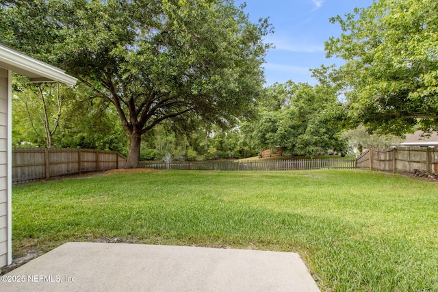 4585 Arrow Wind Ln, Jacksonville, FL 32258 - view of yard with a patio and view of scattered trees
