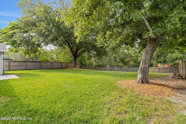 4585 Arrow Wind Ln, Jacksonville, FL 32258 - view of yard