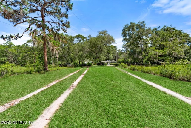 86290 Weldon Ave, Yulee, FL 32097 - view of green lawn