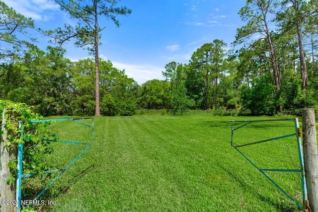 86290 Weldon Ave, Yulee, FL 32097 - view of green lawn