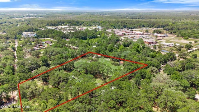 86290 Weldon Ave, Yulee, FL 32097 - aerial overview of property's location with a forest and property boundaries highlighted
