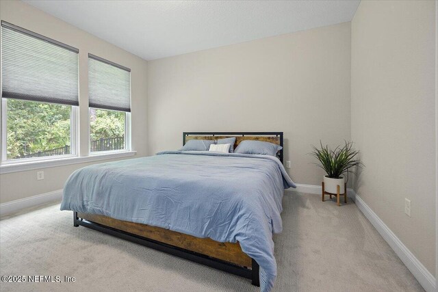 10023 Filament Blvd, Jacksonville, FL 32256 - photo 10