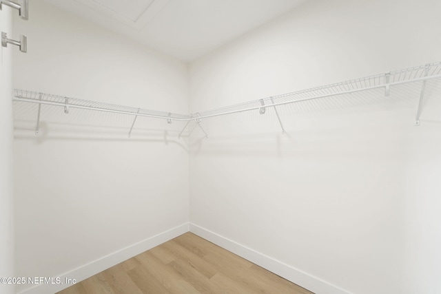 771 W 4th St, Saint Augustine, FL 32084 - walk in closet featuring light wood-style floors