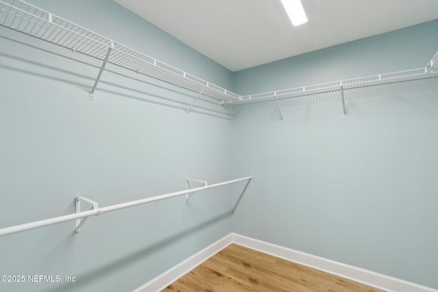 86569 N Hampton Club Way, Fernandina Beach, FL 32034 - walk in closet featuring light wood-style floors