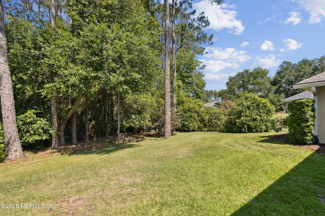 86569 N Hampton Club Way, Fernandina Beach, FL 32034 - view of green lawn