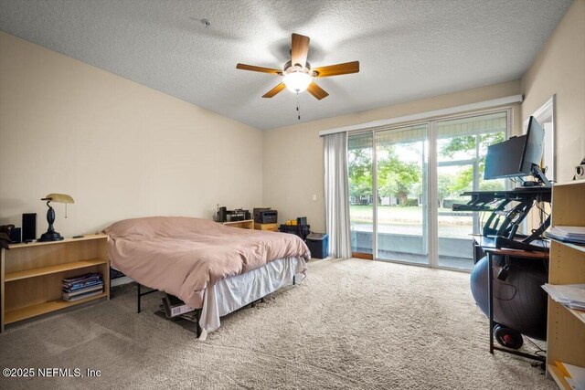 4316 Ellipse Dr, Jacksonville, FL 32246 - photo 22