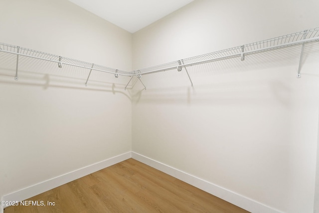 763 W 4th St, Saint Augustine, FL 32084 - walk in closet featuring light wood-type flooring