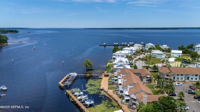 118 Governor St Unit 208, Green Cove Springs, FL 32043 - aerial view of a large body of water