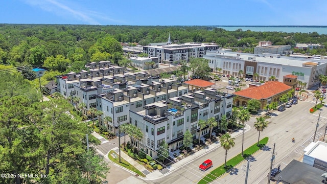 1622 Bridgeton Dr, Jacksonville, FL 32207 - drone / aerial view of a forest and apartment complex / building