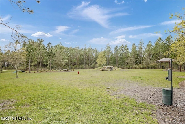 50 Dollar Ct, Saint Augustine, FL 32092 - view of grassy yard