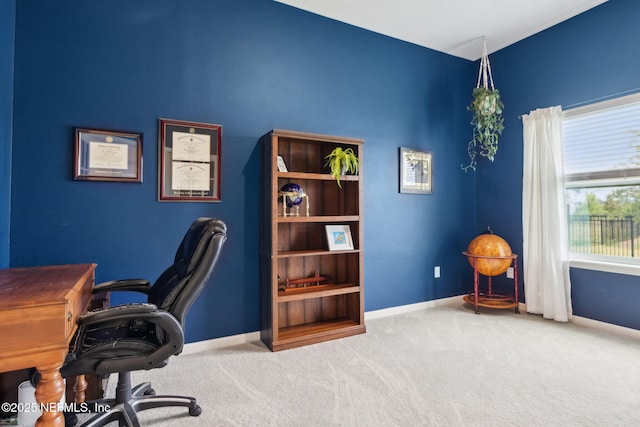 85541 Stonehurst Pkwy, Fernandina Beach, FL 32034 - office space featuring carpet and baseboards