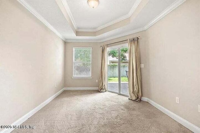 97163 Bluff View Cir, Yulee, FL 32097 - spare room with ornamental molding, carpet flooring, and a raised ceiling