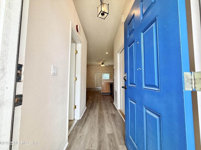 312 Turtle Dove Dr, Orange Park, FL 32073 - foyer with wood finished floors, a textured ceiling, baseboards, and ceiling fan