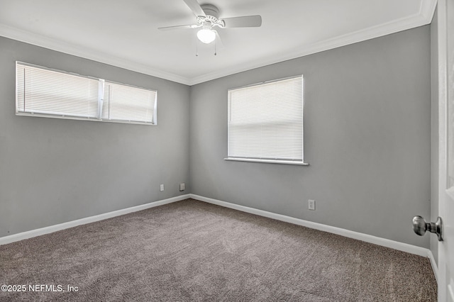 7439 Elvia Dr, Jacksonville, FL 32211 - empty room with crown molding, carpet flooring, a ceiling fan, and baseboards