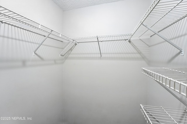 257 Jasmine St, Atlantic Beach, FL 32233 - view of walk in closet
