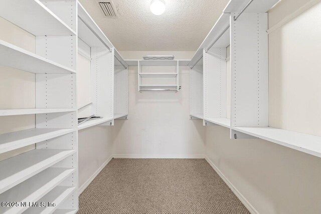 17 Rollins Ave, Saint Augustine, FL 32084 - walk in closet featuring light colored carpet