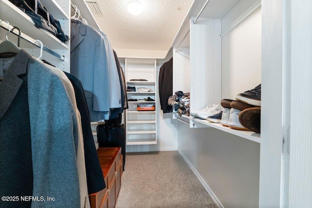 17 Rollins Ave, Saint Augustine, FL 32084 - spacious closet featuring carpet