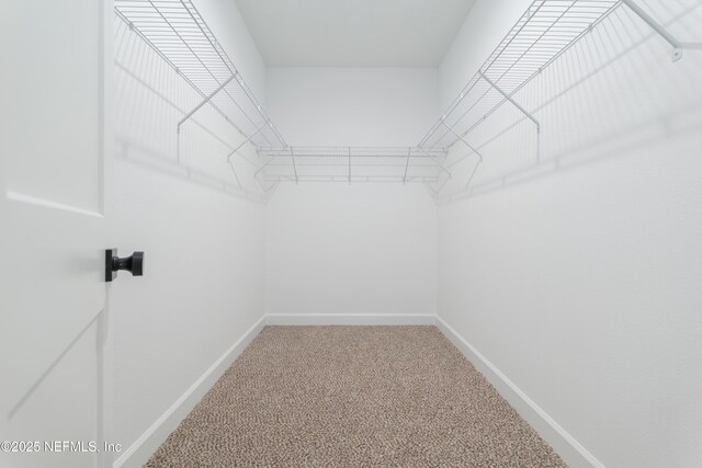 1873 Openwoods Rd, Middleburg, FL 32068 - spacious closet with carpet floors