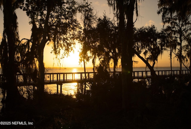 386 Palomar Dr, Saint Johns, FL 32259 - water view