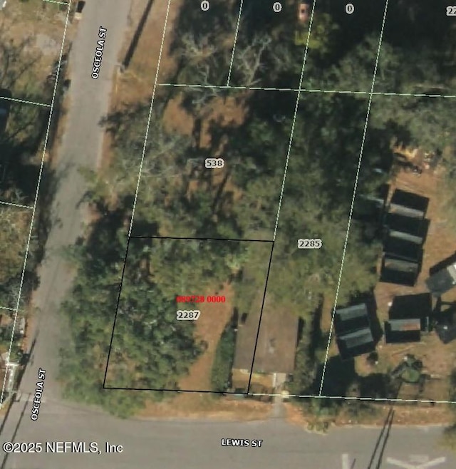 2287 Lewis St, Jacksonville, FL 32204 - photo 1