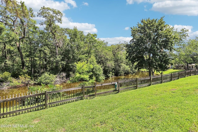 1708 Bridled Tern Ct, Fleming Island, FL 32003 - view of yard