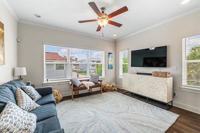 2189 2nd St S, Jacksonville Beach, FL 32250 - living room with wood finished floors, ornamental molding, plenty of natural light, ceiling fan, and baseboards