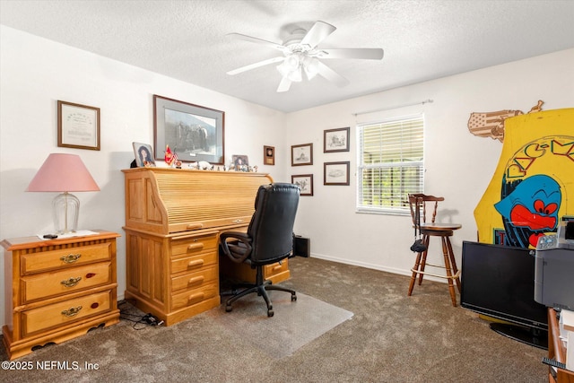 133 Divi Divi Dr, San Mateo, FL 32187 - carpeted office featuring a textured ceiling and a ceiling fan