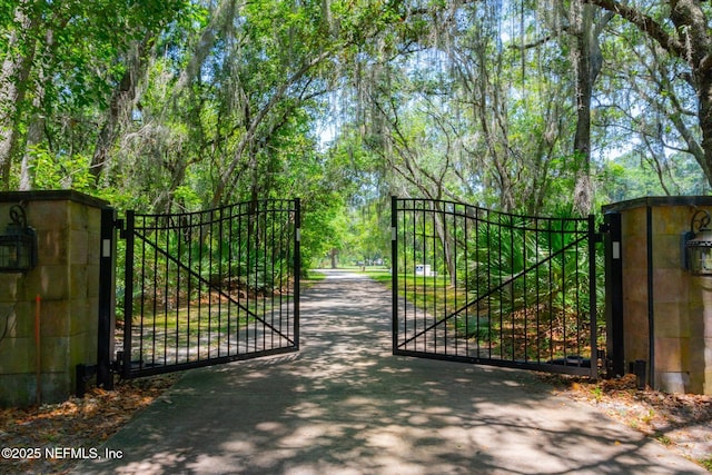 133 Divi Divi Dr, San Mateo, FL 32187 - view of gate