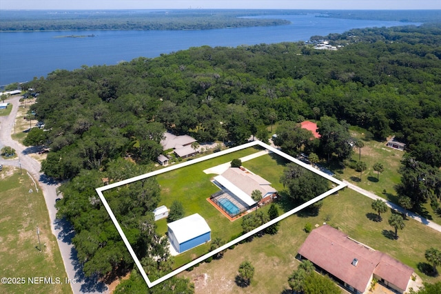 133 Divi Divi Dr, San Mateo, FL 32187 - aerial view of property's location with a forest, property parcel outlined, and a nearby body of water