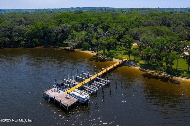 133 Divi Divi Dr, San Mateo, FL 32187 - drone / aerial view of a heavily wooded area and a large body of water
