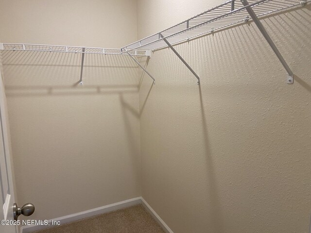 86768 Shortline Cir, Yulee, FL 32097 - walk in closet featuring carpet flooring