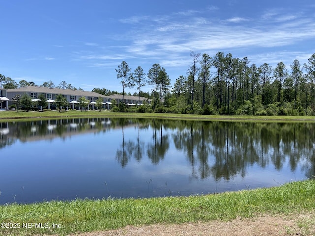 86768 Shortline Cir, Yulee, FL 32097 - water view