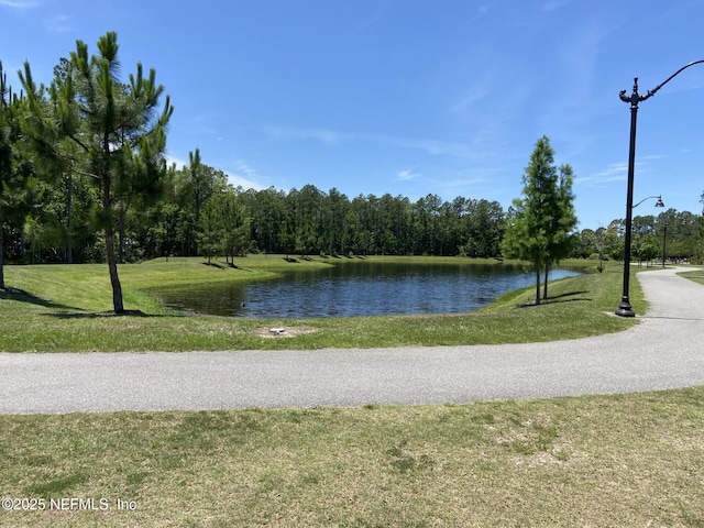 86768 Shortline Cir, Yulee, FL 32097 - water view