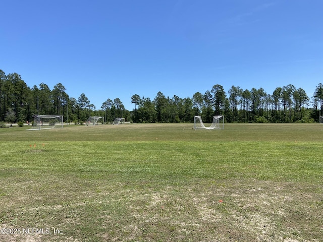 86768 Shortline Cir, Yulee, FL 32097 - view of yard featuring an area for soccer