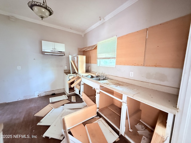 2771 Sunnyside St, Jacksonville, FL 32254 - kitchen featuring ornamental molding, a sink, and light countertops
