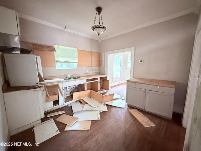 2771 Sunnyside St, Jacksonville, FL 32254 - kitchen featuring ornamental molding, dark wood-style floors, pendant lighting, light countertops, and a sink