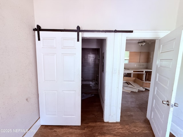 2771 Sunnyside St, Jacksonville, FL 32254 - hallway featuring dark wood finished floors