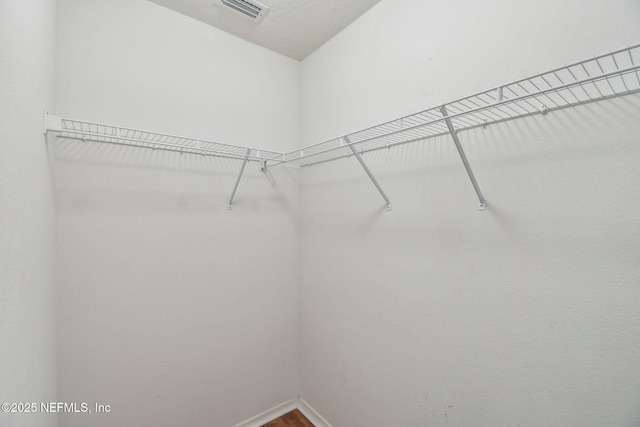 116 Nunna Rock Trl, Saint Augustine, FL 32092 - spacious closet with wood finished floors