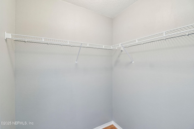 116 Nunna Rock Trl, Saint Augustine, FL 32092 - view of walk in closet