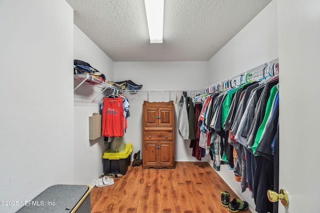 116 Nunna Rock Trl, Saint Augustine, FL 32092 - walk in closet with wood finished floors