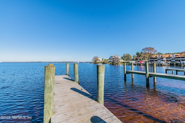 116 Nunna Rock Trl, Saint Augustine, FL 32092 - dock featuring a water view