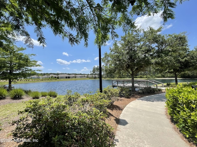 10312 Benson Lake Dr, Jacksonville, FL 32222 - water view